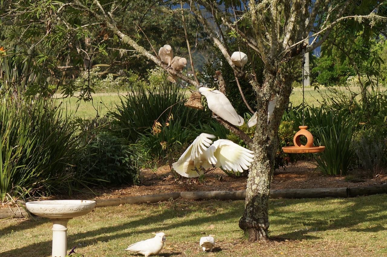 Vicarage View Cottage Kangaroo Valley Dış mekan fotoğraf